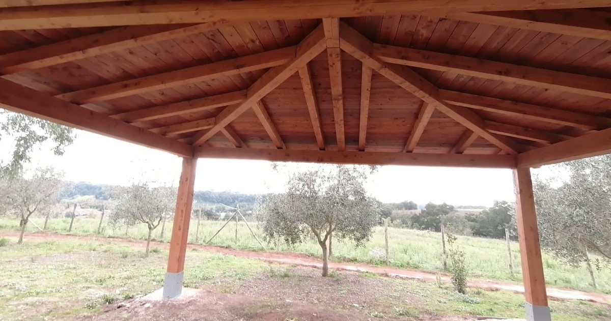 Robywood.it costruzioni in legno tetto